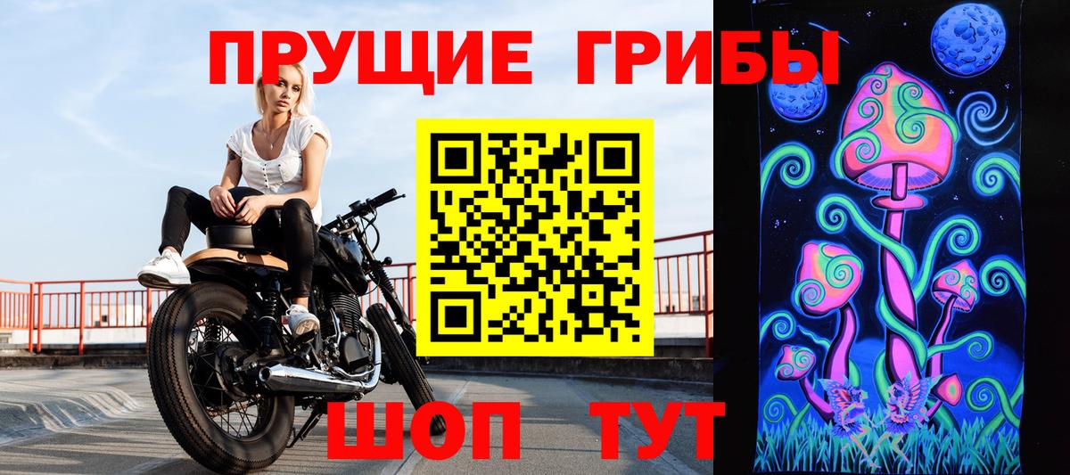 Псилоцибиновые грибы Psilocybine cubensis Орск