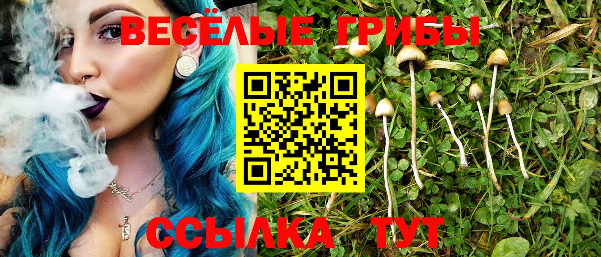 Орск  Псилоцибиновые грибы Psilocybine cubensis  Вход с VPN 